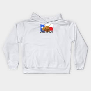 Texas, The Lone Star State Kids Hoodie